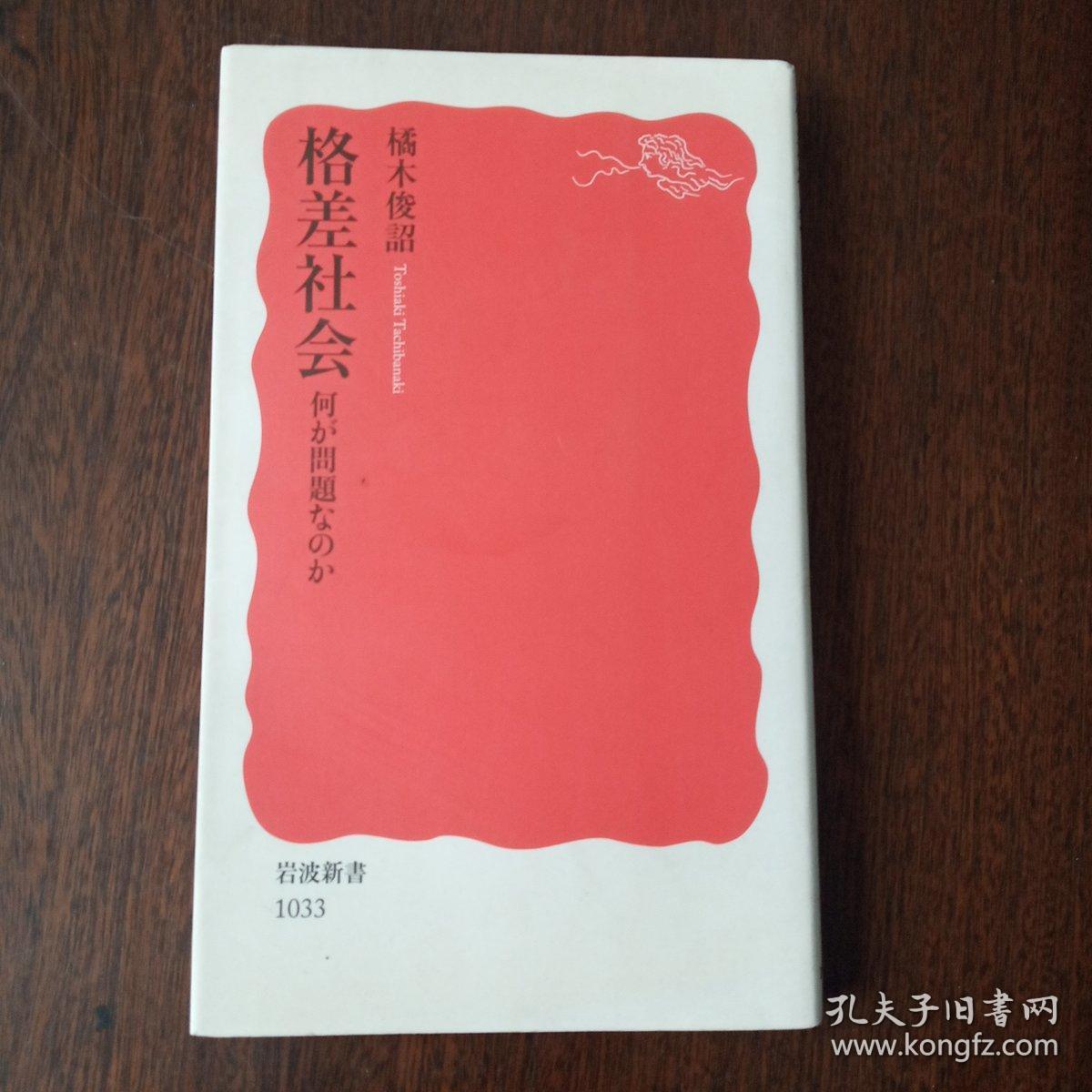 日文原版 格差社会―何が问题なのか (岩波新书) 橘木俊诏