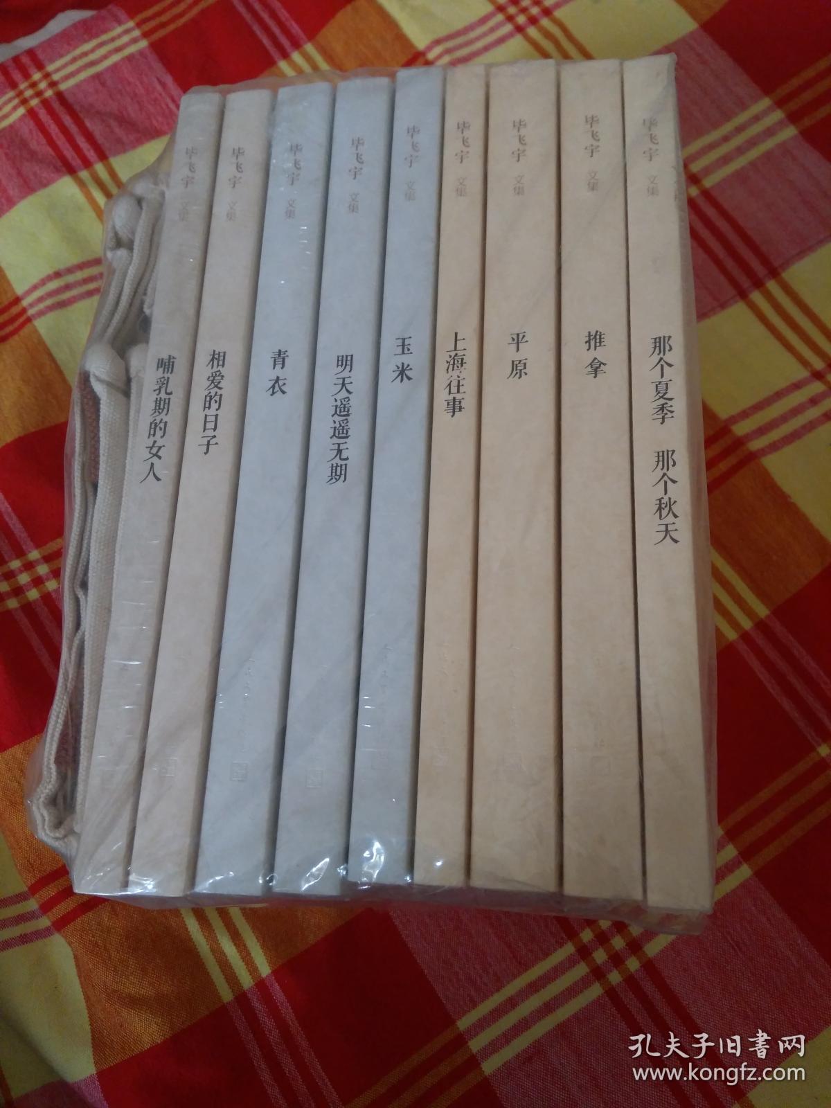 毕飞宇文集全9册