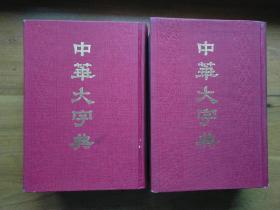 中华大字典（缩印本全2册）