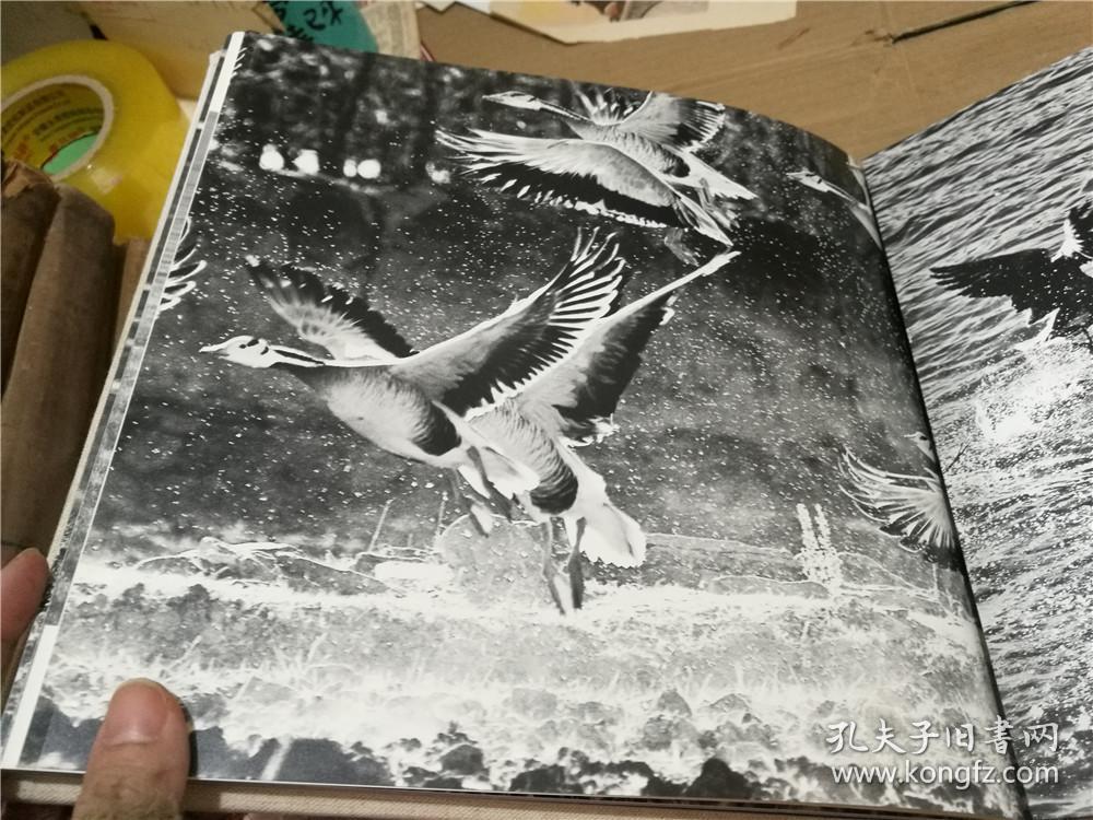 高凯摄影作品集 西部光影