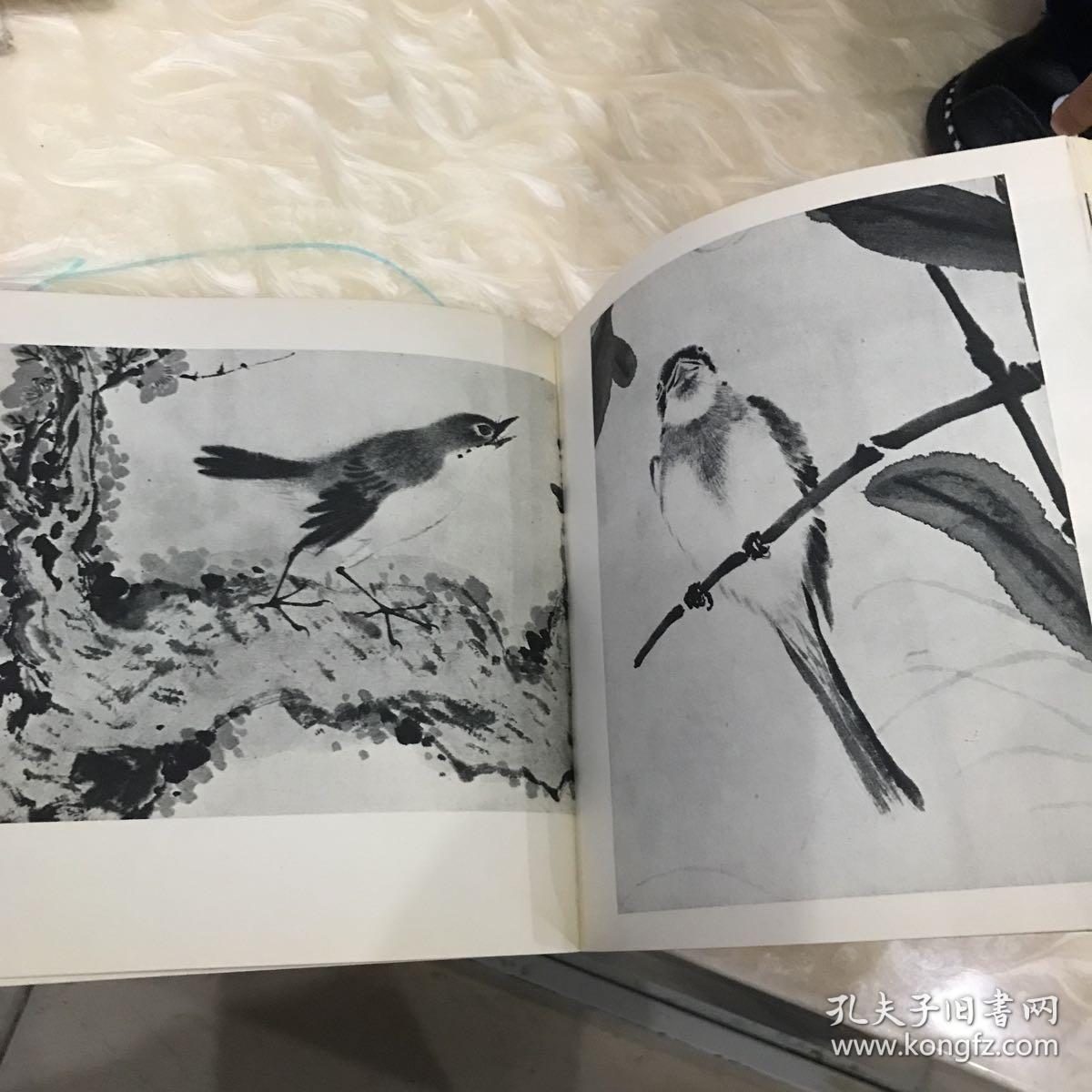 江寒汀百鸟图
