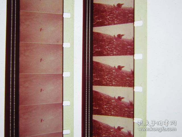 青春期生理卫生1978年科教片彩色16毫米电影胶片拷贝1卷全一般