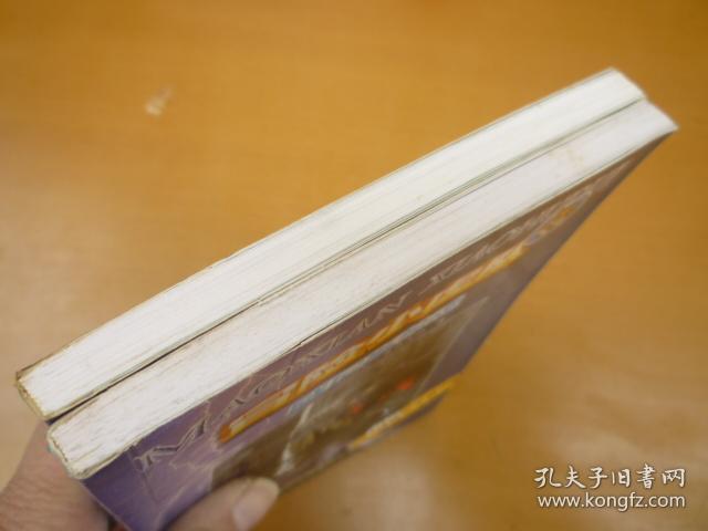 冒险小虎队:威尼斯惊魂