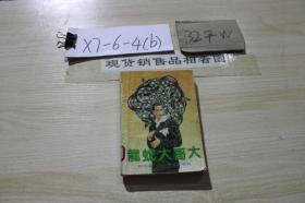 龙蛇大哥大