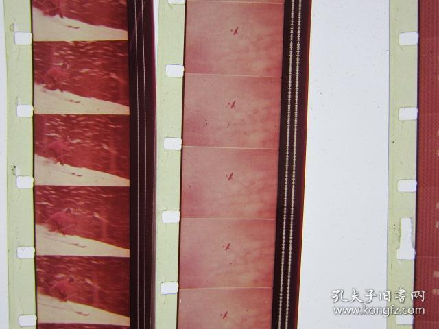 青春期生理卫生1978年科教片彩色16毫米电影胶片拷贝1卷全一般