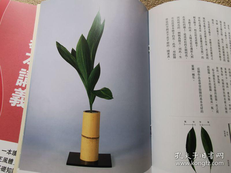 池坊插花的基本讲义 自由花 生花 立花 单本 孔夫子旧书网