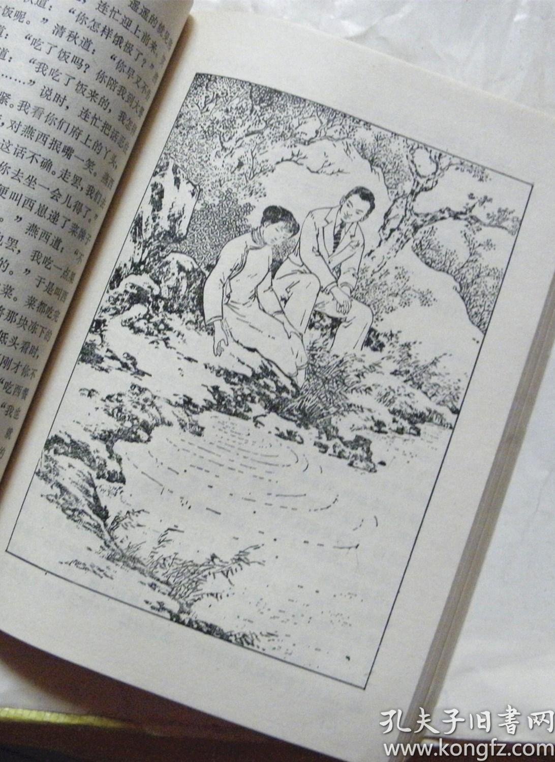 张恨水选集5-燕归来【绘画-毓继明】