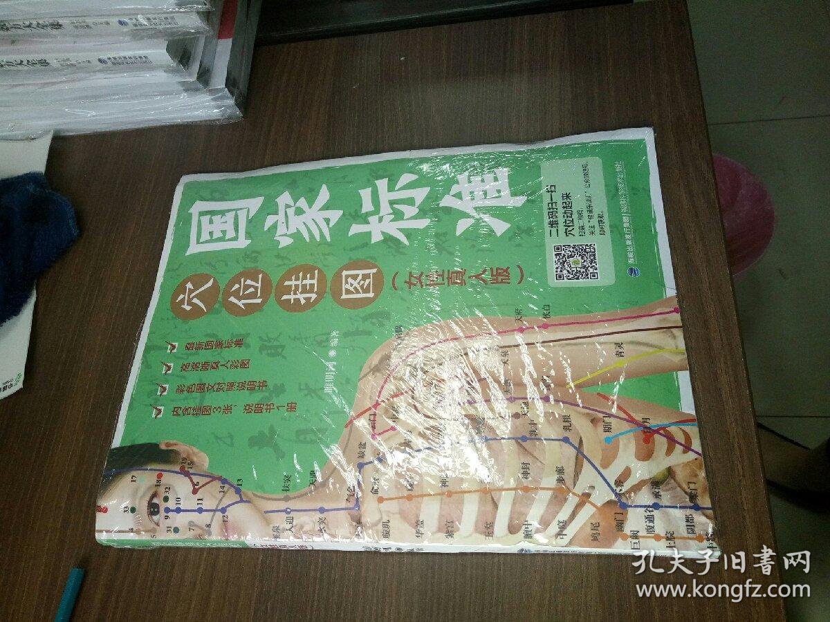 国家标准穴位挂图(女性真人版)