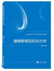 糖酵解模型的动力学 魏美华 9787307211902 武汉大学出版社