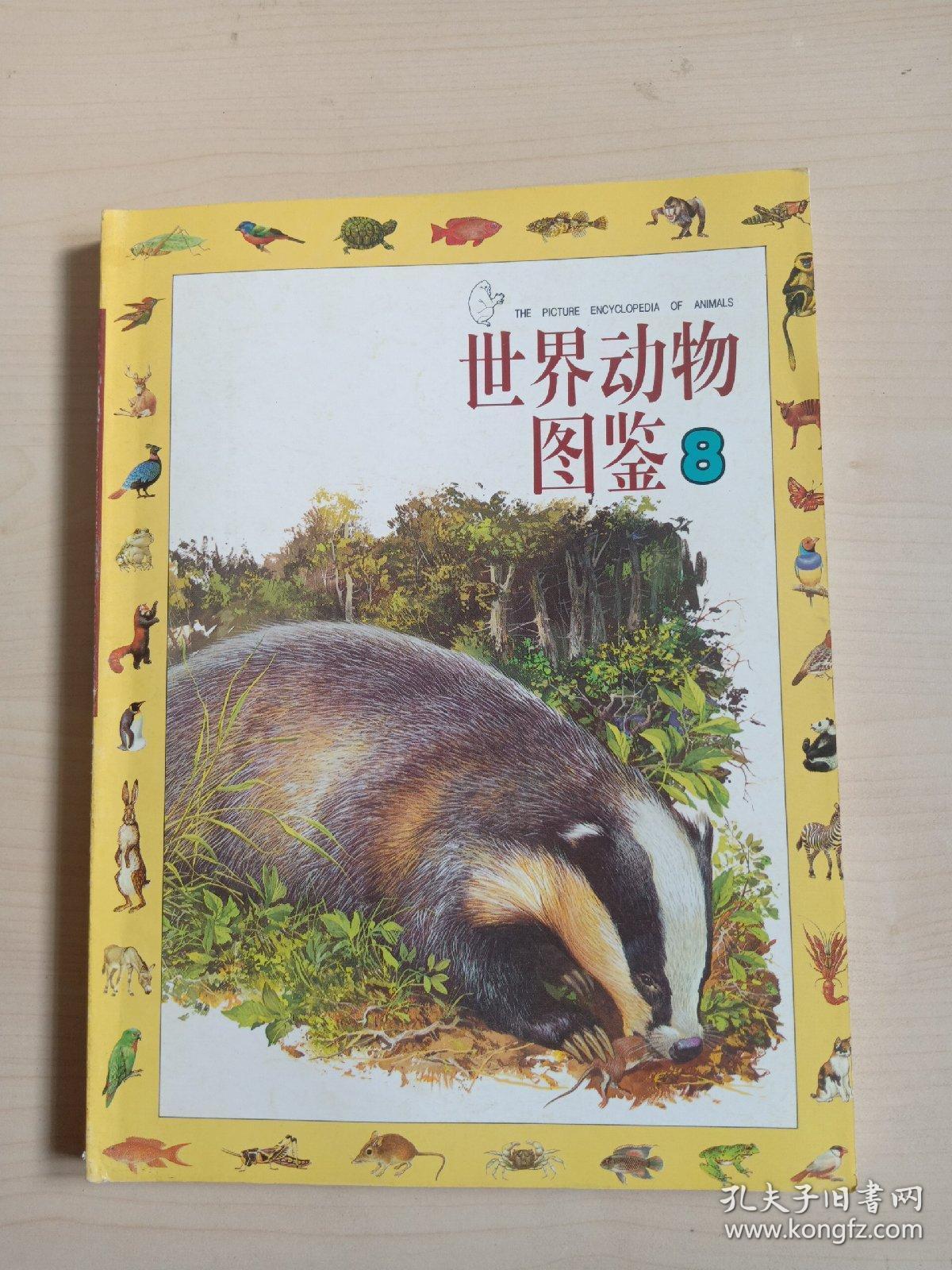 世界动物图鉴8――哺乳动物(二)一版一印