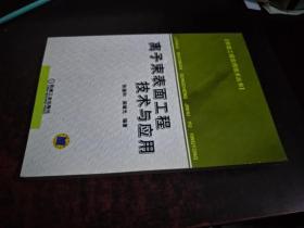 离子束表面工程技术与应用（表面工程实用技术丛书）