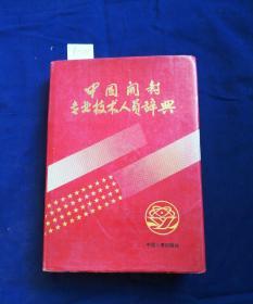 中国开封专业技术人员辞典