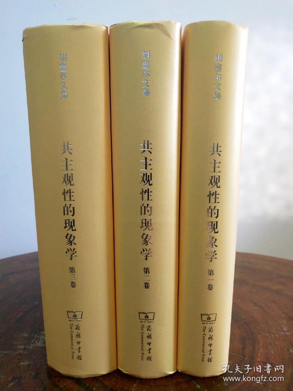 共主观性的现象学全三卷胡塞尔文集