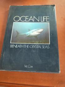 OCEAN LIFE BENEATH THE CRYSTAL SEAS  水晶海下的海洋生物（大图片，少文字）