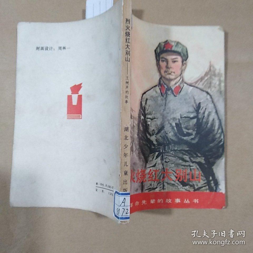 烈火烧红大别山 王树声的故事 革命先辈的故事丛书