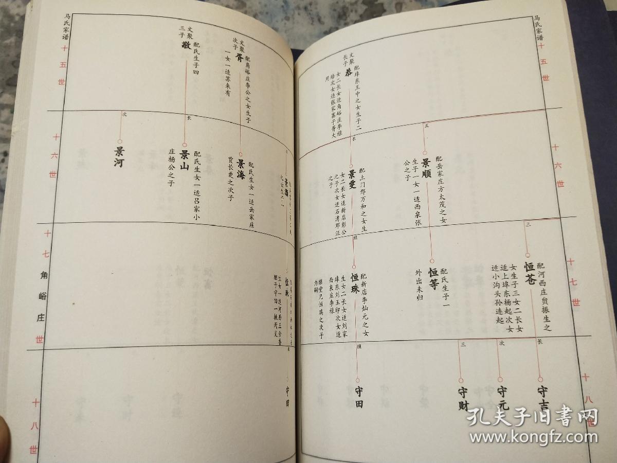 泰安道朗大马庄《马氏家谱》(十一卷全) 马氏族谱宗谱家乘 山东省泰安