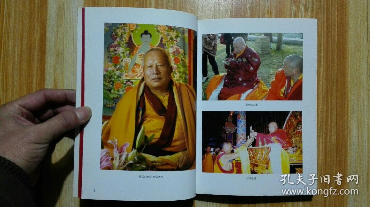 金刚密乘大圆满:突破轮回之道_丹贝旺旭仁波切 著;慈诚达瓦 译_孔夫子