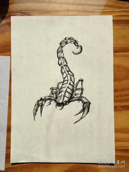 毒蝎子怎么画最帅凶猛图片