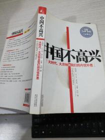 中国不高兴：大时代 大目标及内忧外患