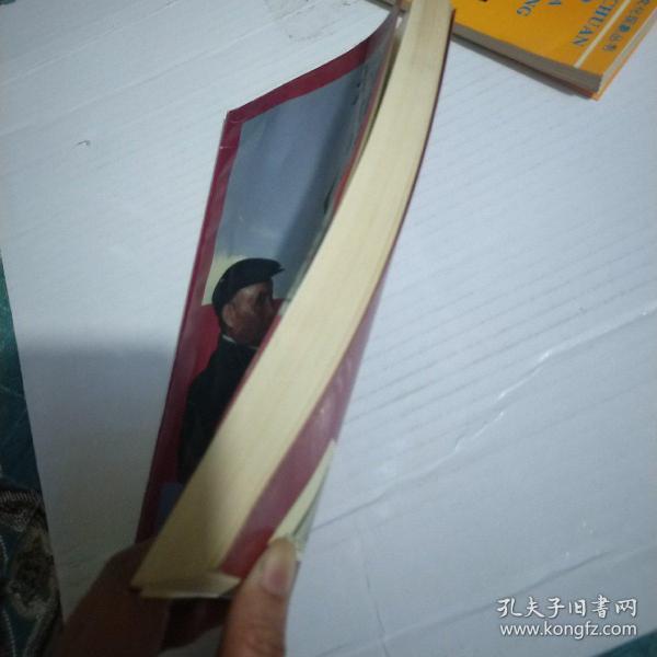 杨伯涛回忆录 馆藏