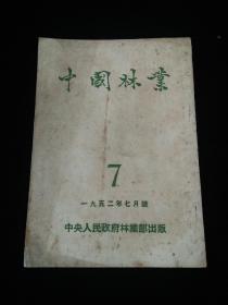中国林业 1952年7月号