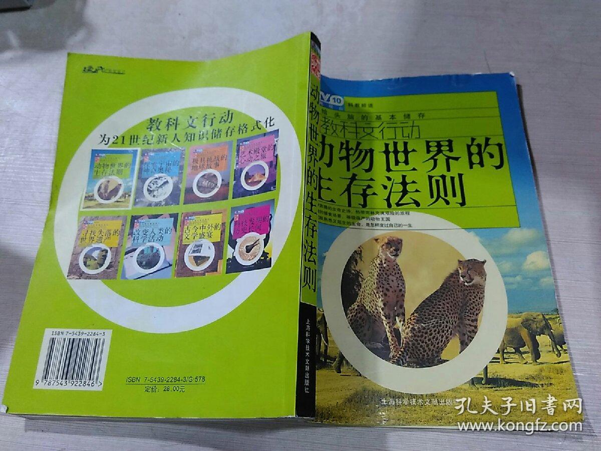 动物世界的生存法则