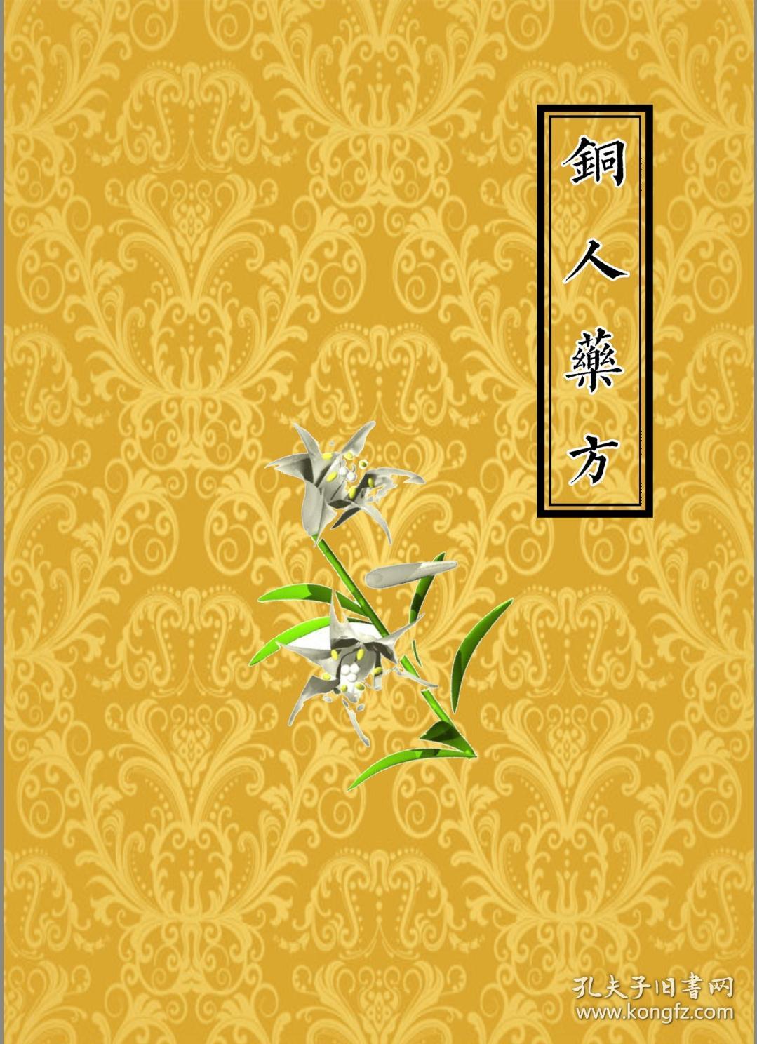 铜人(药方)