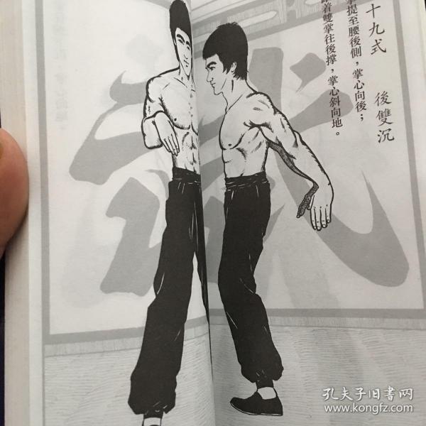 漫画李小龙咏春拳法