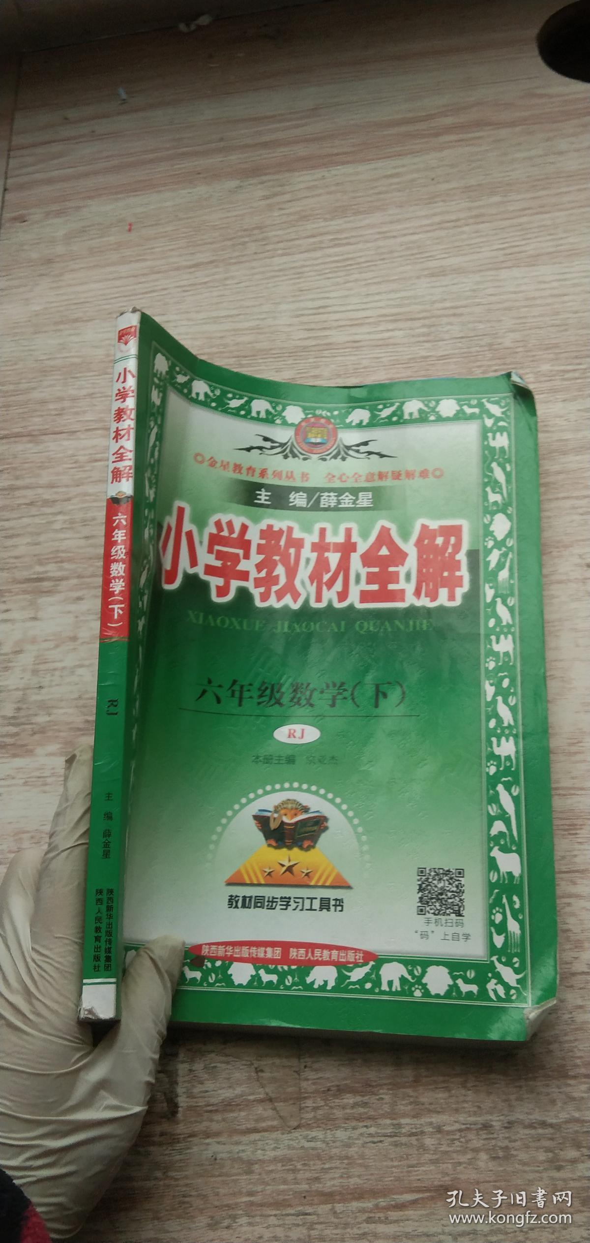 小学教材全解 六年级数学下 人教版 2017春