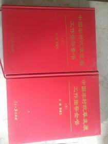 中国农村改革发展工作指导全书 上下册