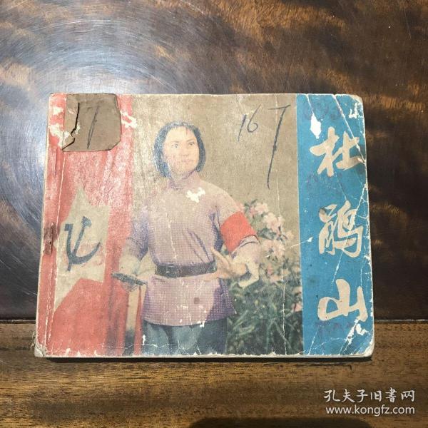 杜鹃山(根据彩色电影《杜鹃山》改编)