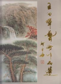 王向晖艺术作品选（2010年8开1版1印）