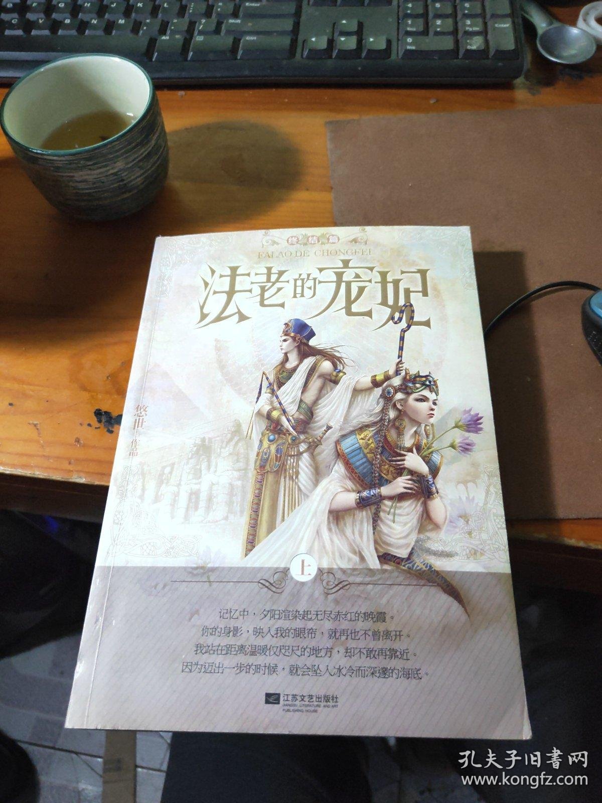 法老的宠妃终结篇上册