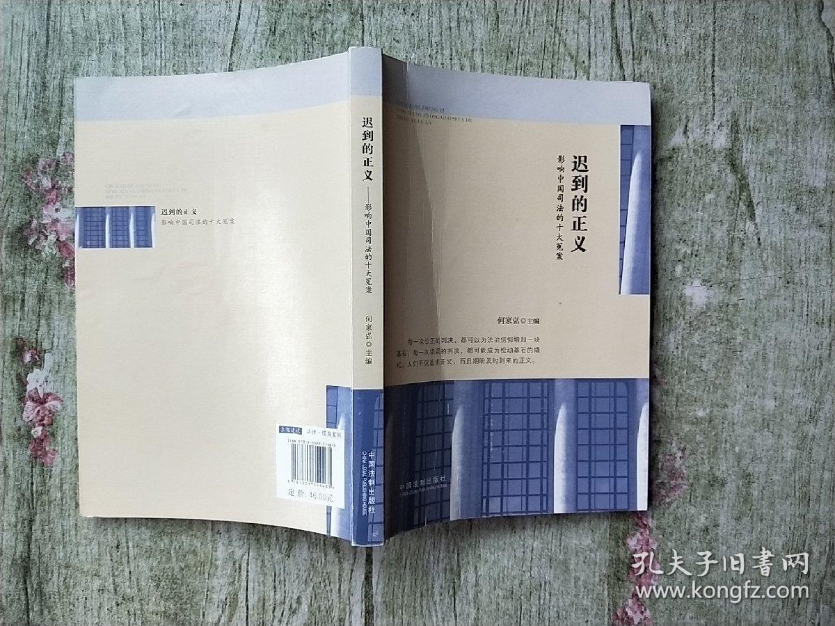 迟到的正义:影响中国司法的十大冤案
