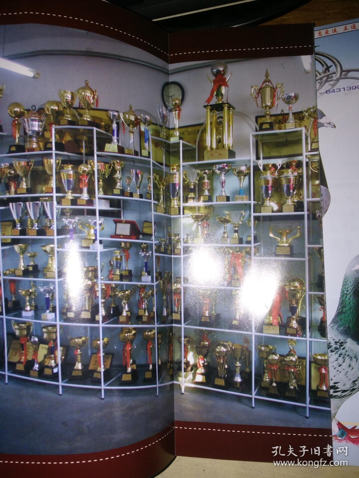 赛鸽天地2003年第1.2.3.4.5期 赛鸽天地信鸽登记册