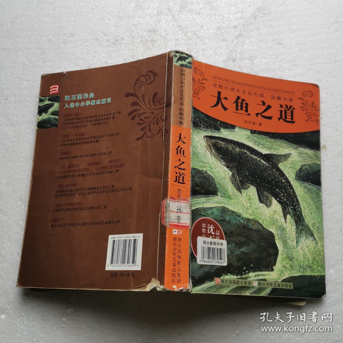 动物小说大王沈石溪·品藏书系:大鱼之道
