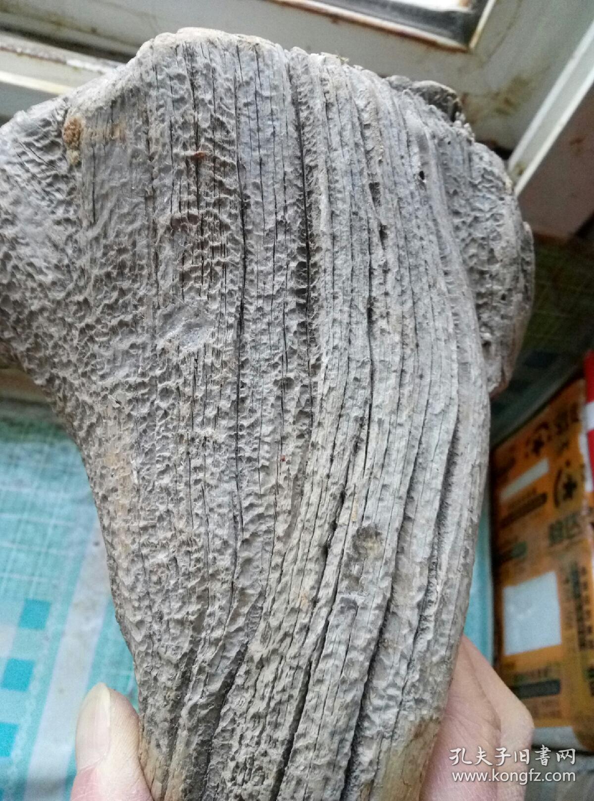 太行山崖柏毛料