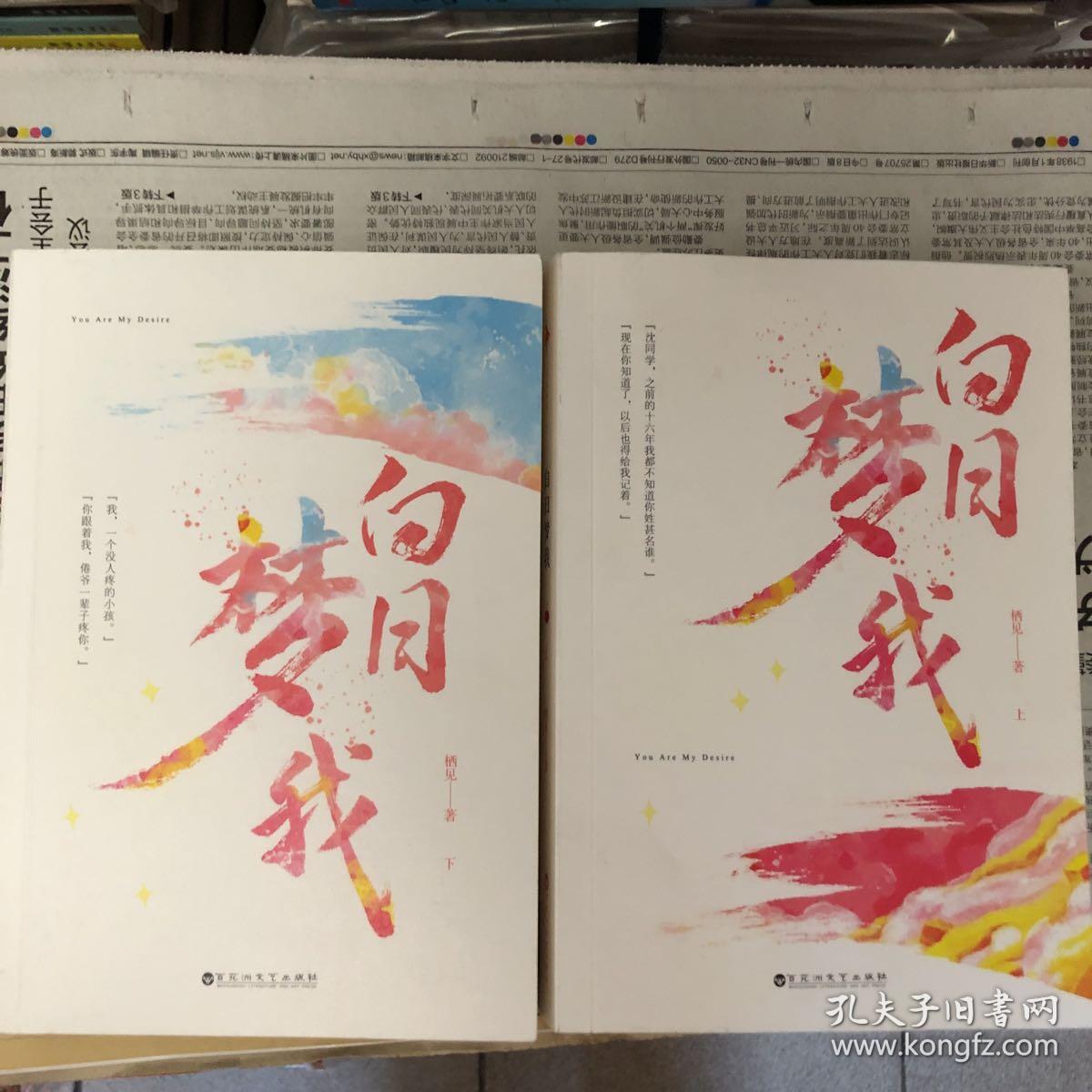 白日梦我全两册