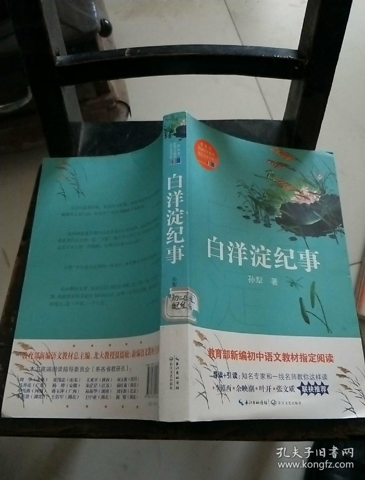 白洋淀纪事(教育部新编语文教材指定阅读书系)