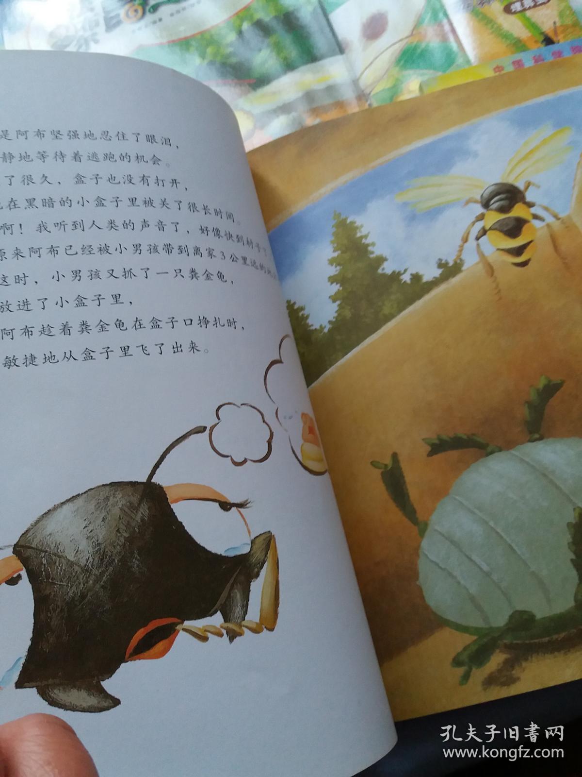 法布尔蜜蜂 法布尔蜜蜂实验