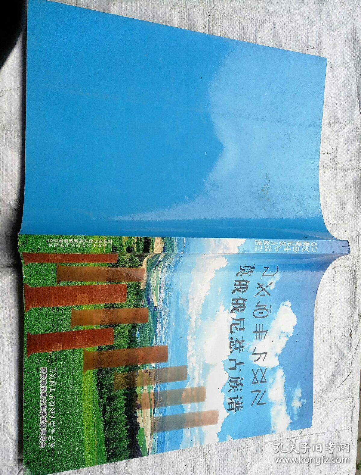 莫俄俄尼惹古族谱 彝族族谱