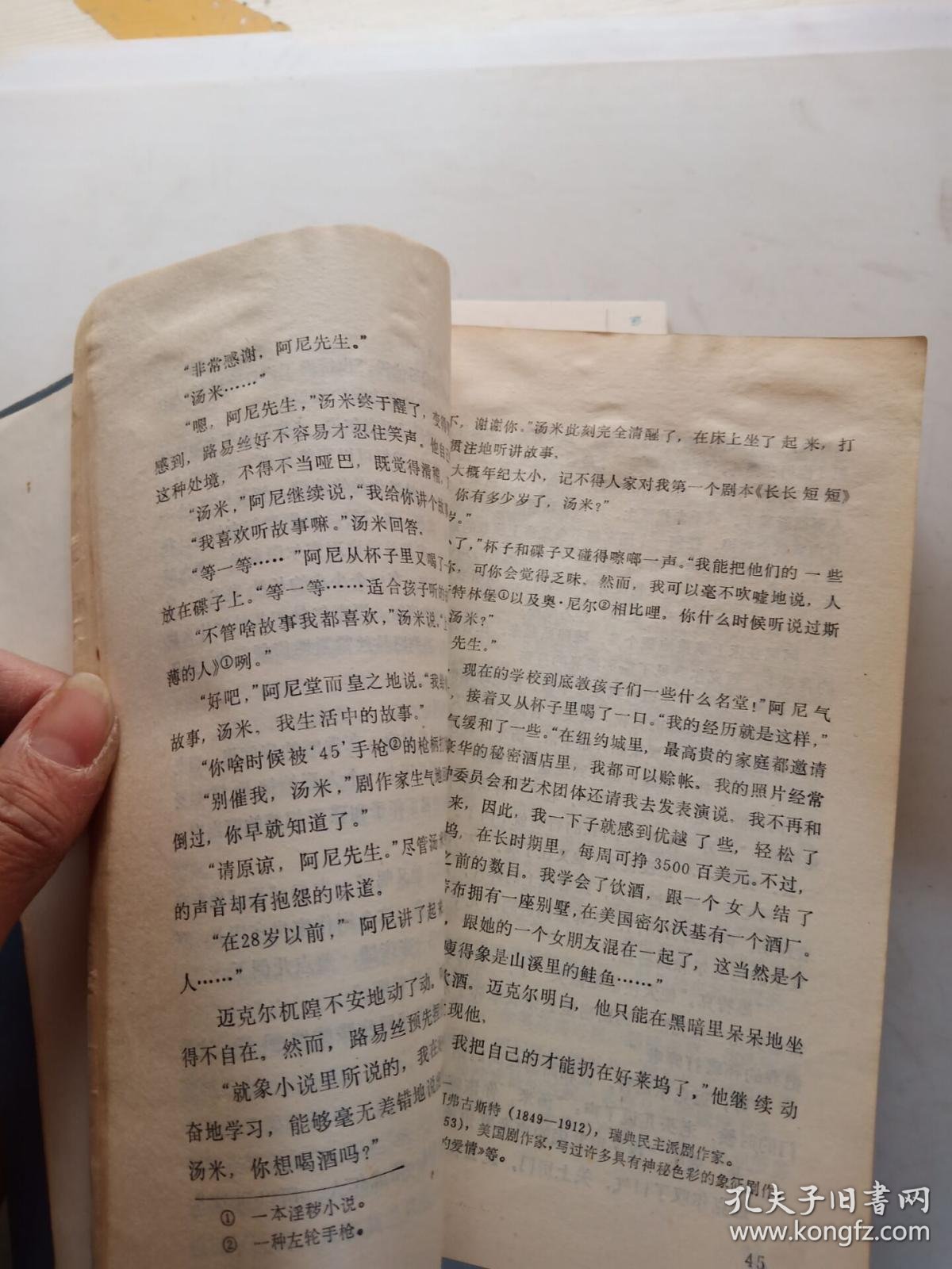 幼狮(馆藏 见图)_[美]欧文.肖 高长荣译_孔夫子旧书网