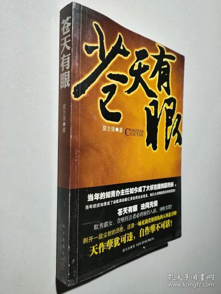 苍天有眼_夏志强 著_孔夫子旧书网