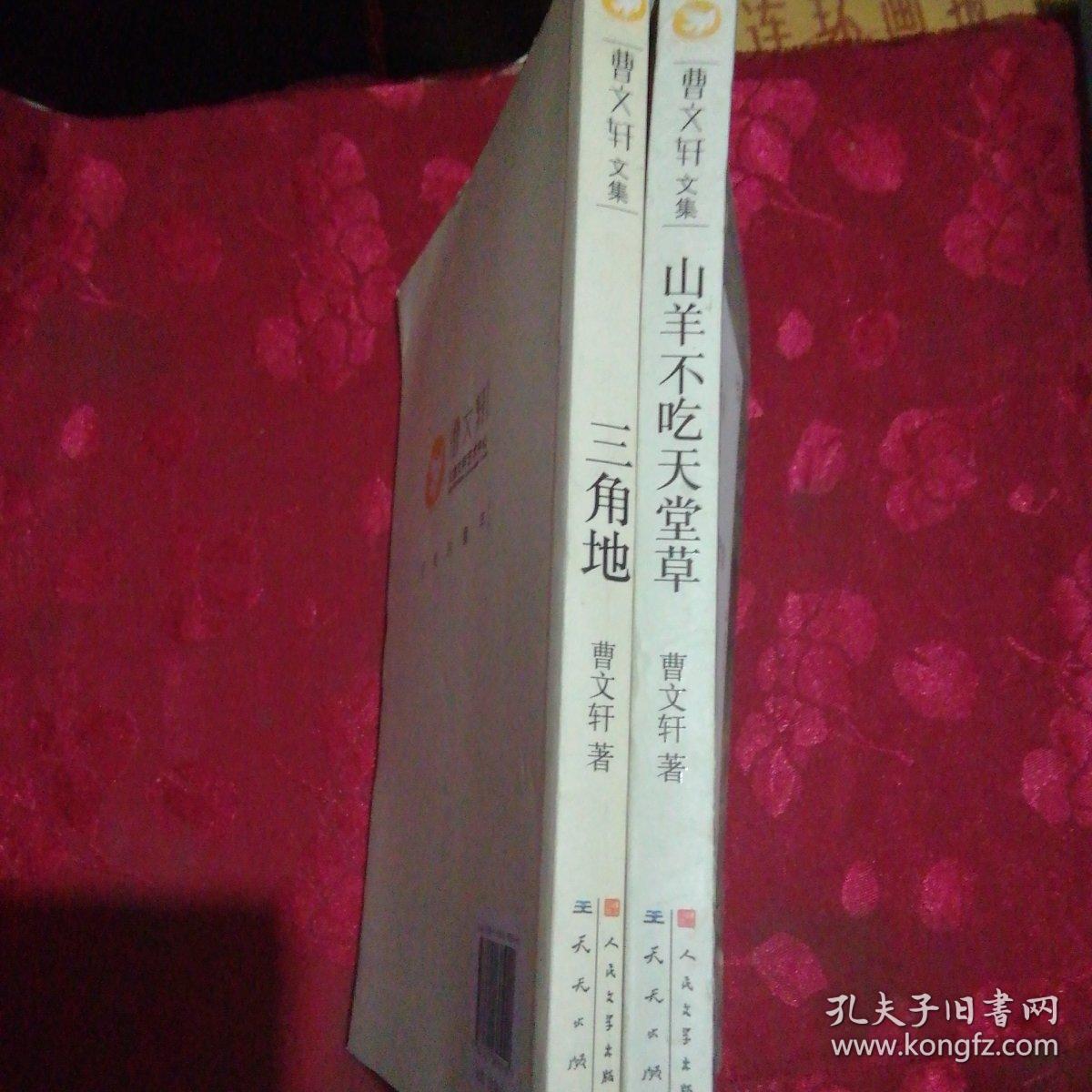 三角地曹文轩著