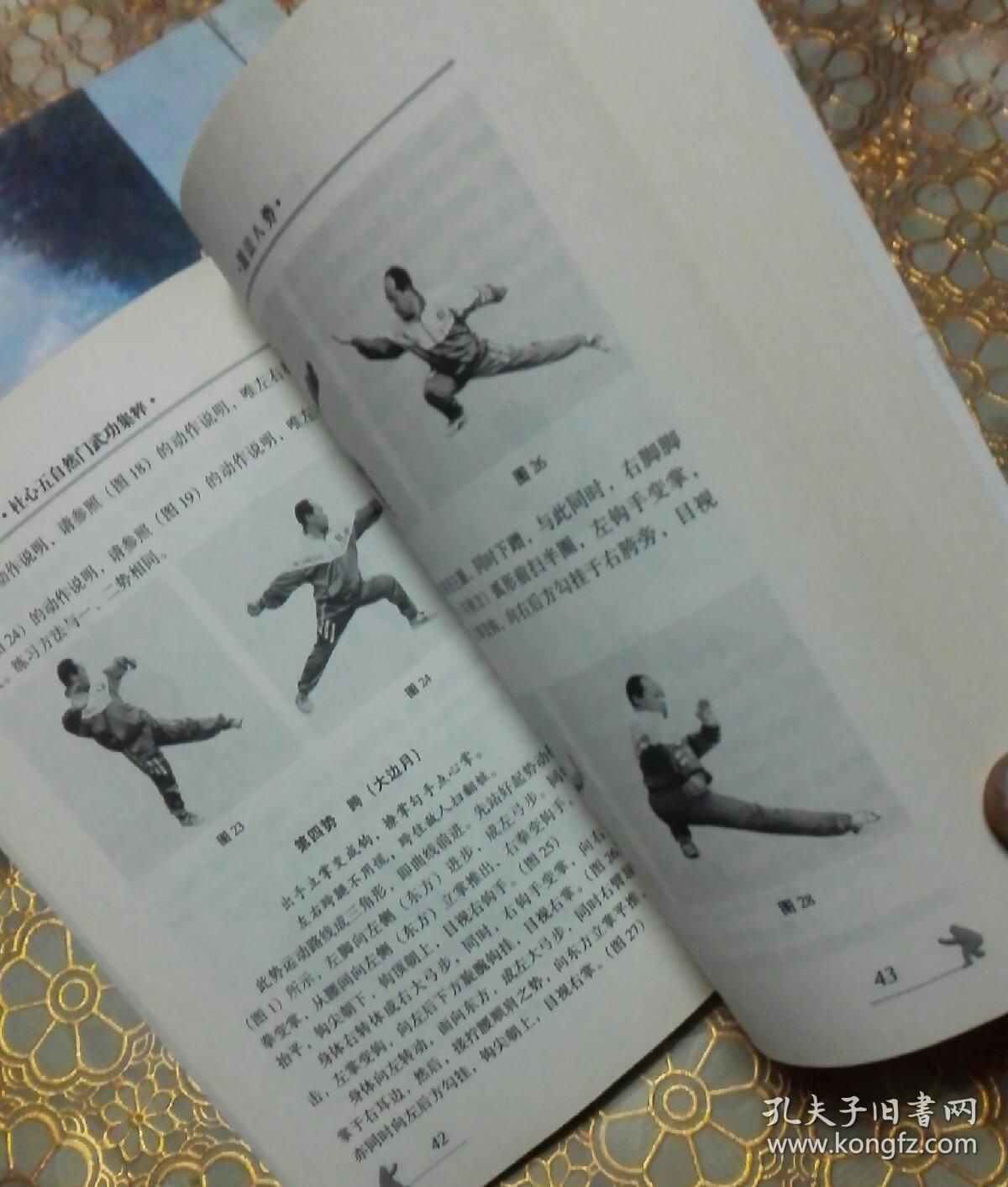 杜心五自然门武功集粹(无碟)