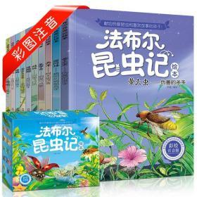 法布尔昆虫记绘本 彩绘注音版(全10册) 齐遇 绘 新华文轩网络书店 正版图书