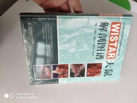 Wistar大鼠解剖图谱 孔夫子旧书网 Wistar大鼠解剖图谱 孔夫子旧书网