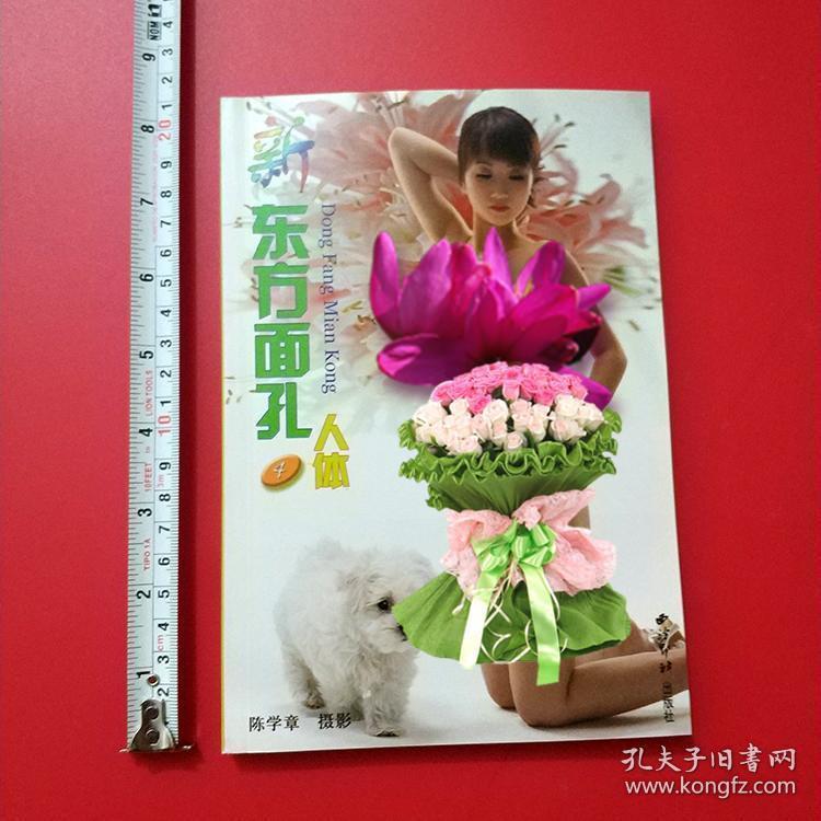 新东方面孔4人体