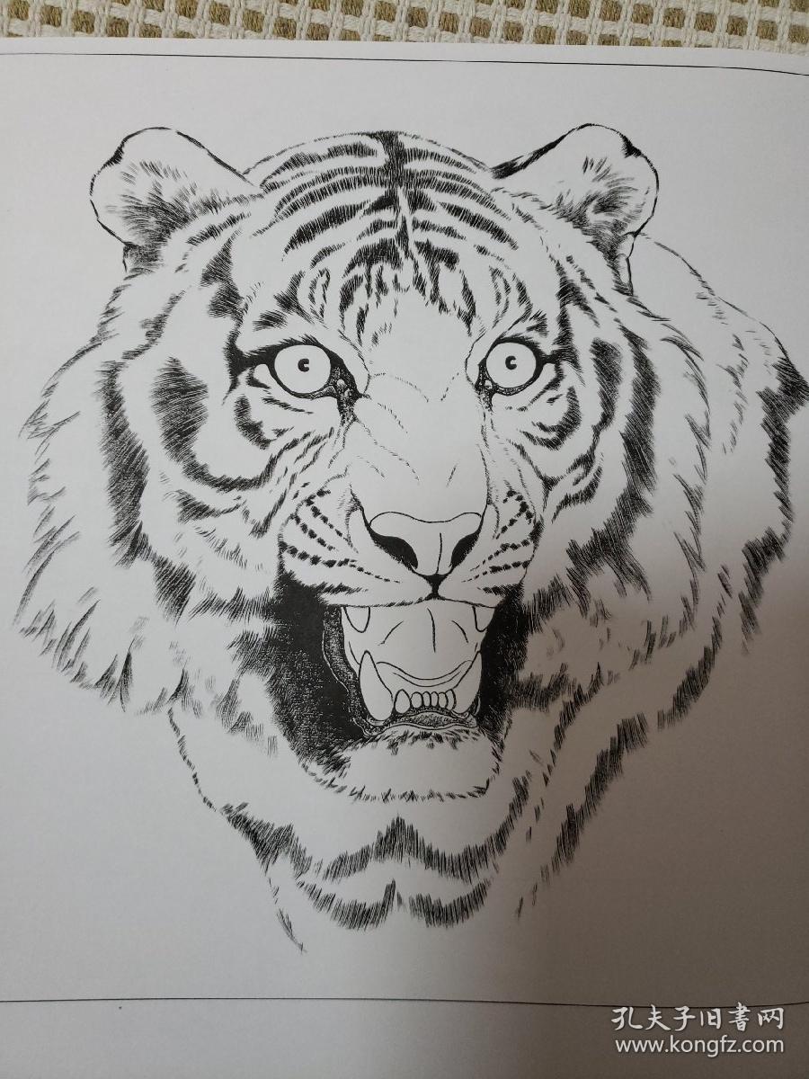 中国工笔画线描分类选百兽集3虎