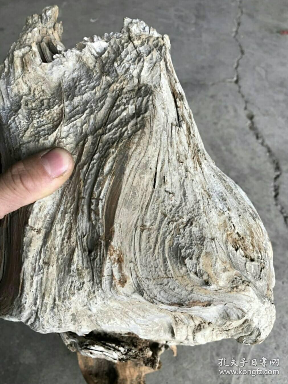 太行山陈化崖柏白粉骨料黄泥皮香粉料